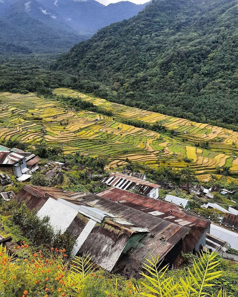Places to Visit in Nagaland - Khonoma Green Village in Kohima